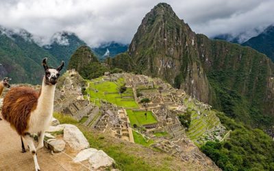 Machu Picchu: Insider Tips To Get The Best Experience